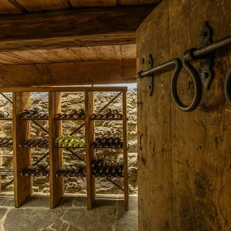 Chalet Berghaus Bartholomäberg